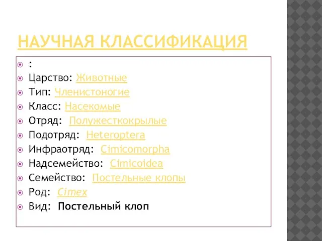 Научная классификация : Царство: Животные Тип: Членистоногие Класс: Насекомые Отряд: Полужесткокрылые Подотряд: