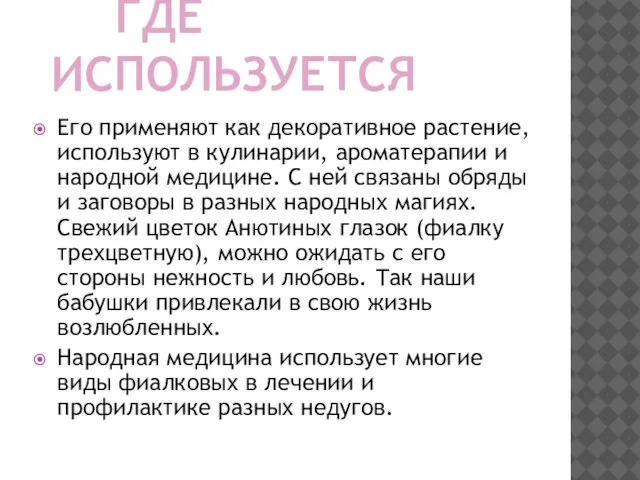 ГДЕ ИСПОЛЬЗУЕТСЯ Его применяют как декоративное растение, используют в кулинарии, ароматерапии и