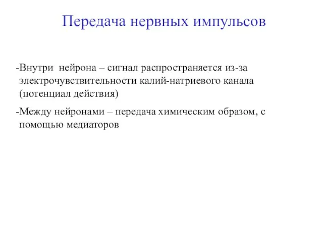 Передача нервных импульсов Внутри нейрона – сигнал распространяется из-за электрочувствительности калий-натриевого канала