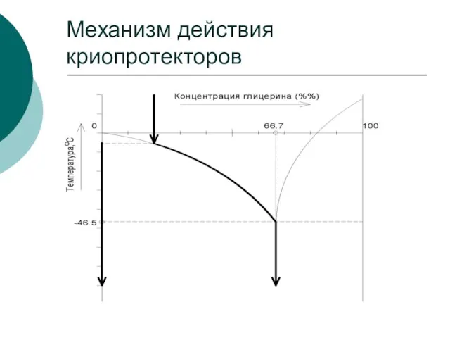 Механизм действия криопротекторов