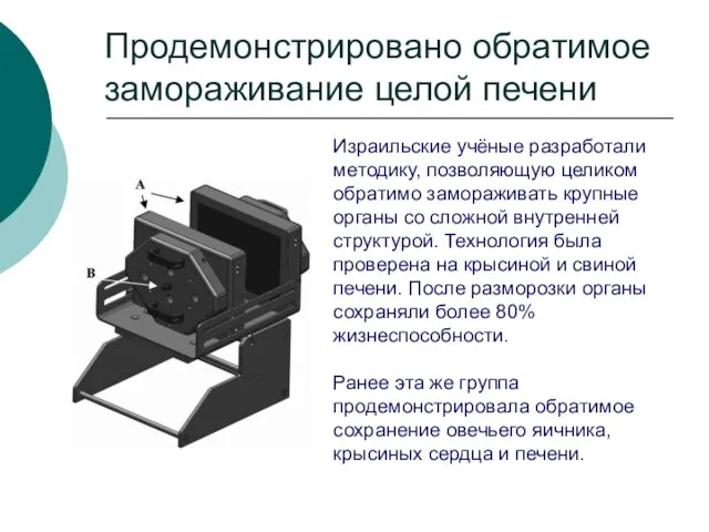 Продемонстрировано обратимое замораживание целой печени Израильские учёные разработали методику, позволяющую целиком обратимо