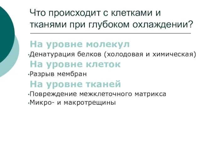 Что происходит с клетками и тканями при глубоком охлаждении? На уровне молекул