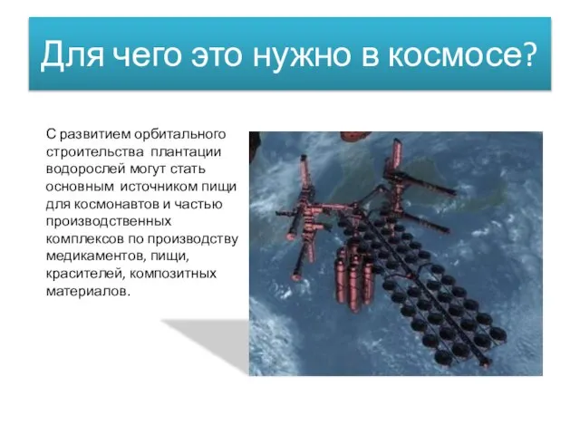 Для чего это нужно в космосе? С развитием орбитального строительства плантации водорослей