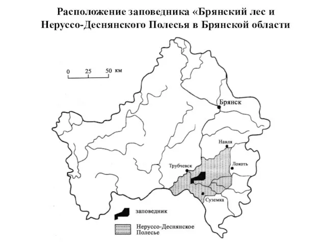 Расположение заповедника «Брянский лес и Неруссо-Деснянского Полесья в Брянской области