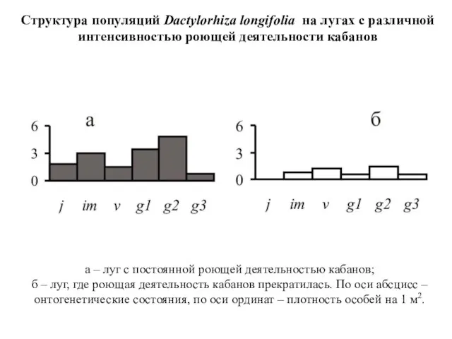 а – луг с постоянной роющей деятельностью кабанов; б – луг, где