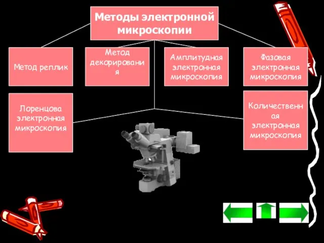 Методы электронной микроскопии Метод реплик Метод декорирования Амплитудная электронная микроскопия Фазовая электронная