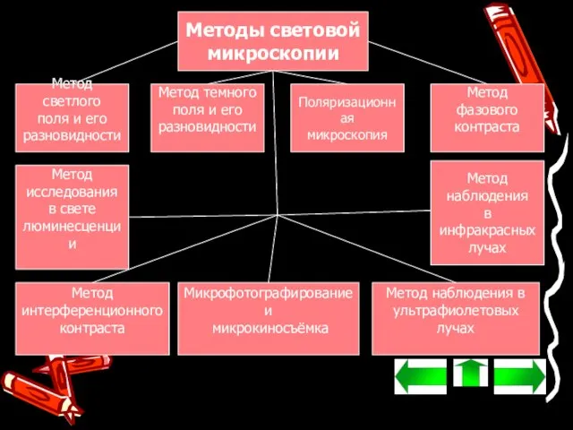 Методы световой микроскопии Метод светлого поля и его разновидности Метод темного поля