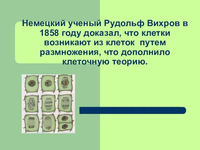 Немецкий ученый Рудольф Вихров в 1858 году доказал, что клетки возникают из