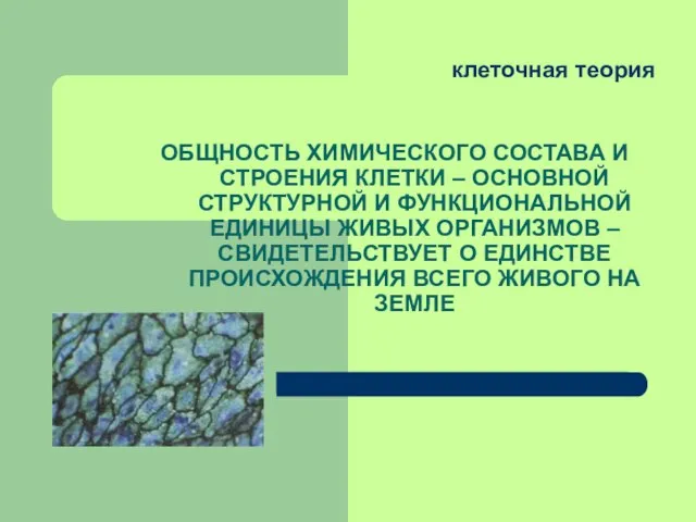 клеточная теория ОБЩНОСТЬ ХИМИЧЕСКОГО СОСТАВА И СТРОЕНИЯ КЛЕТКИ – ОСНОВНОЙ СТРУКТУРНОЙ И