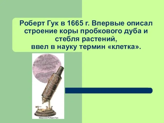 Роберт Гук в 1665 г. Впервые описал строение коры пробкового дуба и