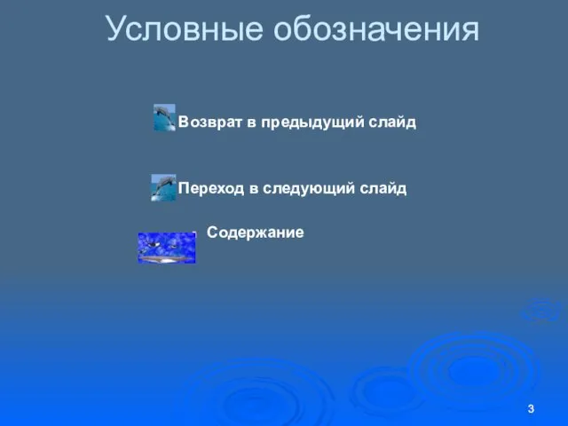 Условные обозначения Возврат в предыдущий слайд Переход в следующий слайд Содержание