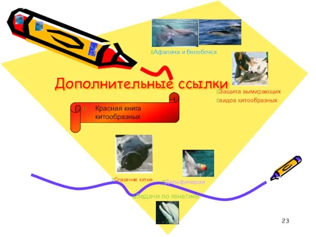 Дополнительные ссылки Задачи по генетике Спасение китов Дельфинарии Афалина и белобочка Защита