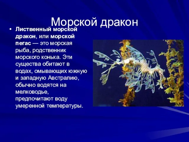 Морской дракон Лиственный морской дракон, или морской пегас — это морская рыба,