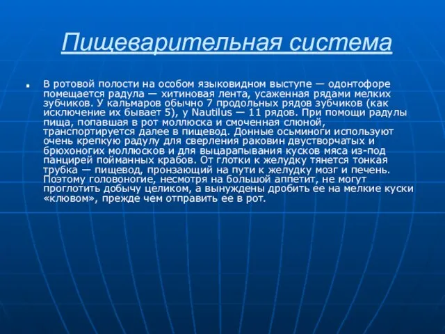 Пищеварительная система В ротовой полости на особом языковидном выступе — одонтофоре помещается