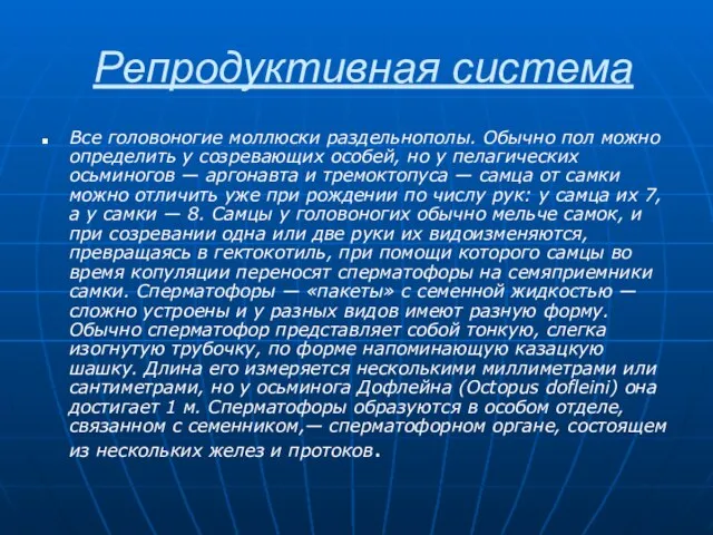 Репродуктивная система Все головоногие моллюски раздельнополы. Обычно пол можно определить у созревающих