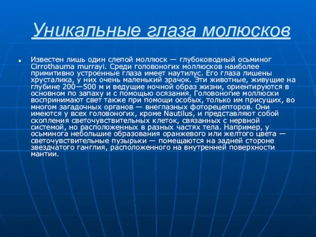 Уникальные глаза молюсков Известен лишь один слепой моллюск — глубоководный осьминог Cirrothauma