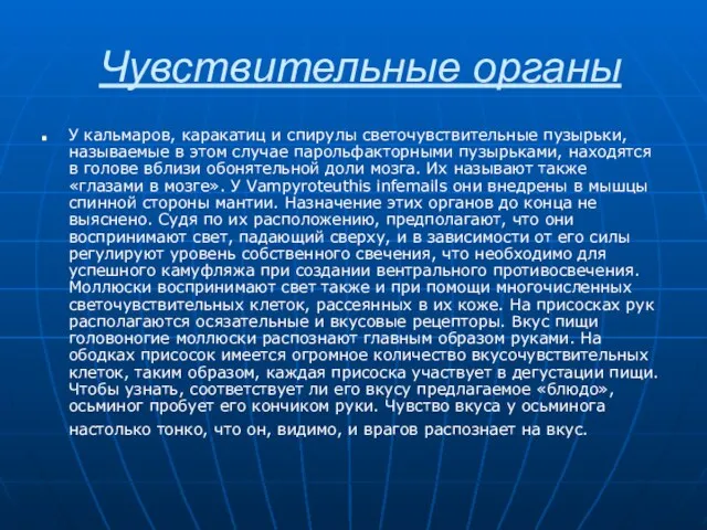 Чувствительные органы У кальмаров, каракатиц и спирулы светочувствительные пузырьки, называемые в этом