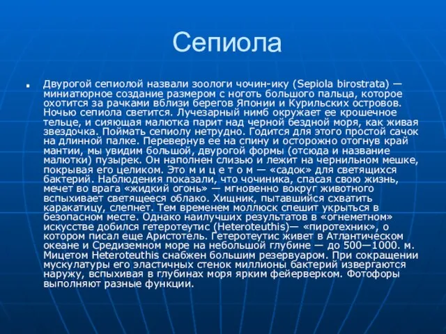 Сепиола Двурогой сепиолой назвали зоологи чочин-ику (Sepiola birostrata) — миниатюрное создание размером