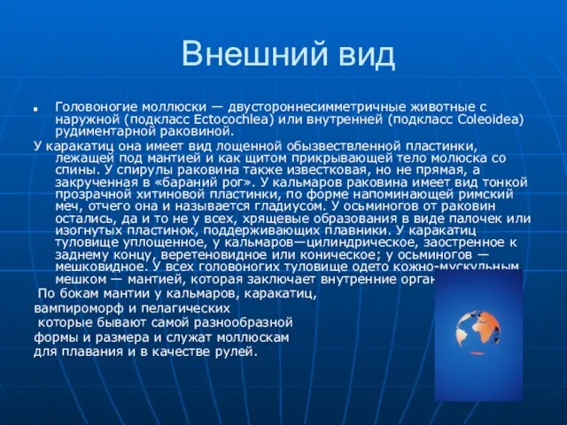 Внешний вид Головоногие моллюски — двустороннесимметричные животные с наружной (подкласс Ectocochlea) или