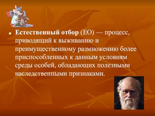 Естественный отбор (ЕО) — процесс, приводящий к выживанию и преимущественному размножению более