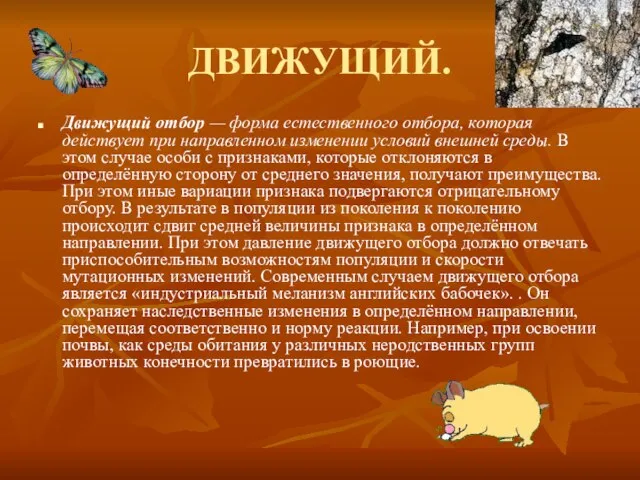 ДВИЖУЩИЙ. Движущий отбор — форма естественного отбора, которая действует при направленном изменении