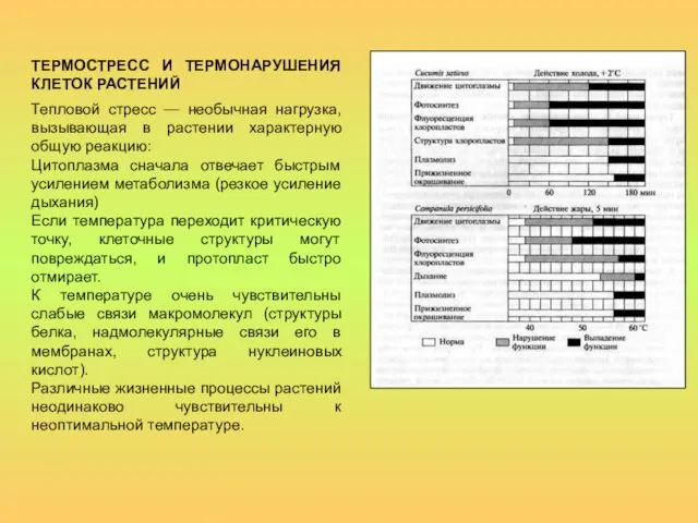 ТЕРМОСТРЕСС И ТЕРМОНАРУШЕНИЯ КЛЕТОК РАСТЕНИЙ Тепловой стресс — необычная нагрузка, вызывающая в