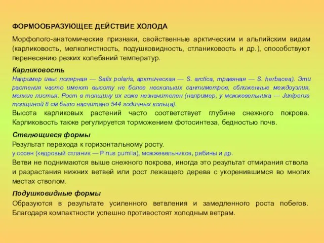 ФОРМООБРАЗУЮЩЕЕ ДЕЙСТВИЕ ХОЛОДА Морфолого-анатомические признаки, свойственные арктическим и альпийским видам (карликовость, мелколистность,