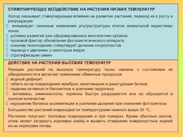 СТИМУЛИРУЮЩЕЕ ВОЗДЕЙСТВИЕ НА РАСТЕНИЯ НИЗКИХ ТЕМПЕРАТУР Холод оказывает стимулирующее влияние на развитие