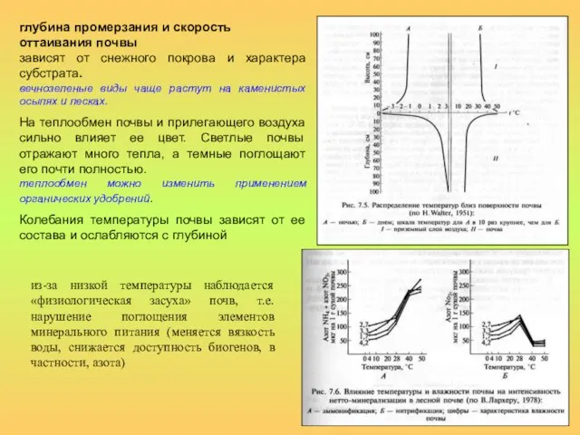 глубина промерзания и скорость оттаивания почвы зависят от снежного покрова и характера