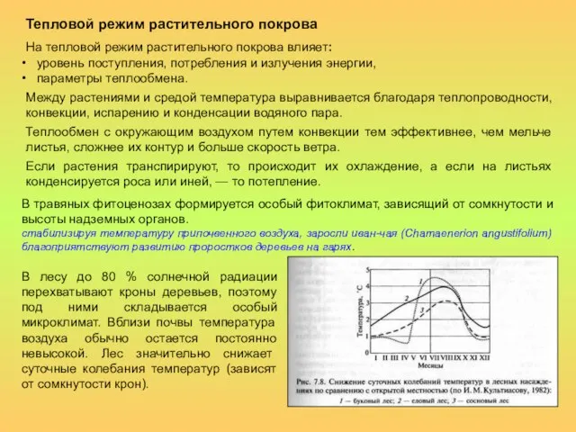 Тепловой режим растительного покрова На тепловой режим растительного покрова влияет: уровень поступления,