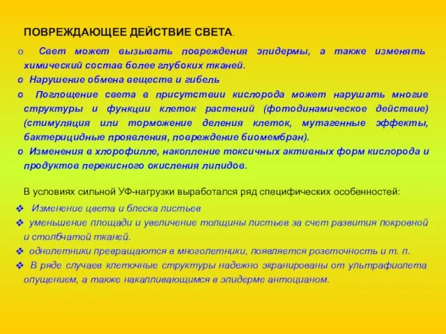 ПОВРЕЖДАЮЩЕЕ ДЕЙСТВИЕ СВЕТА. Свет может вызывать повреждения эпидермы, а также изменять химический