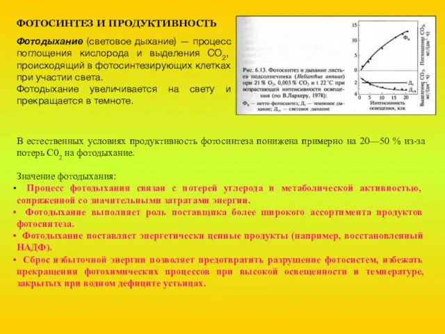 ФОТОСИНТЕЗ И ПРОДУКТИВНОСТЬ Фотодыхание (световое дыхание) — процесс поглощения кислорода и выделения