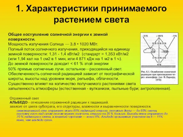 1. Характеристики принимаемого растением света Отраженный свет АЛЬБЕДО - отношение отраженной радиации