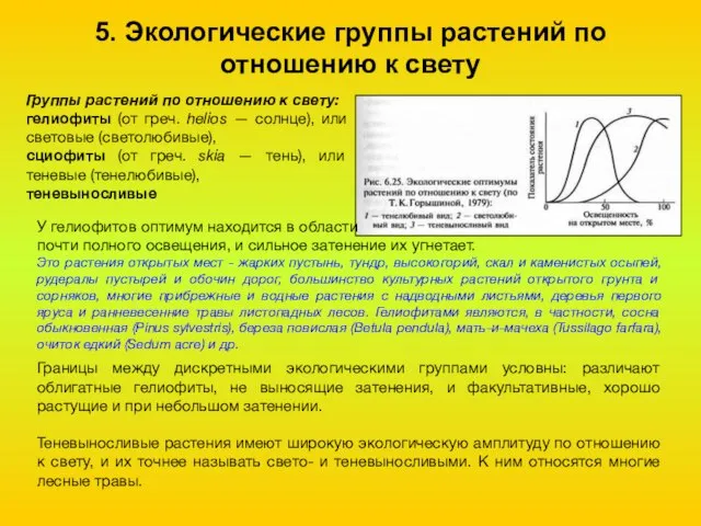 5. Экологические группы растений по отношению к свету Группы растений по отношению