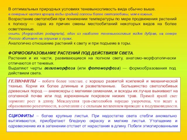 В оптимальных природных условиях теневыносливость вида обычно выше. в северных частях ареала