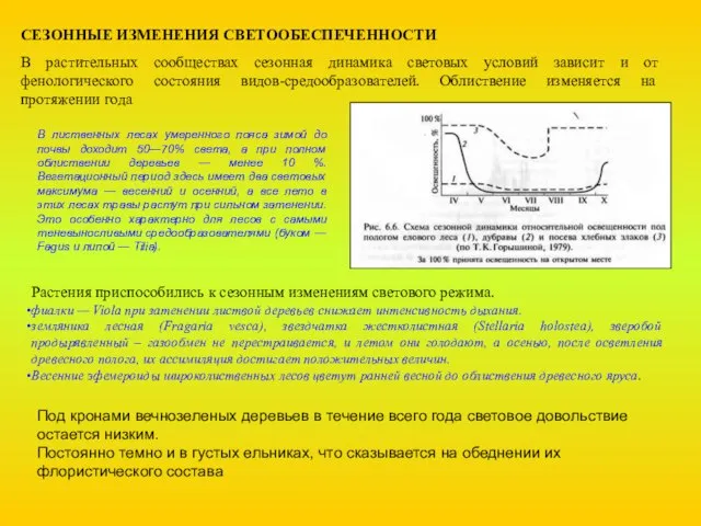 СЕЗОННЫЕ ИЗМЕНЕНИЯ СВЕТООБЕСПЕЧЕННОСТИ В растительных сообществах сезонная динамика световых условий зависит и