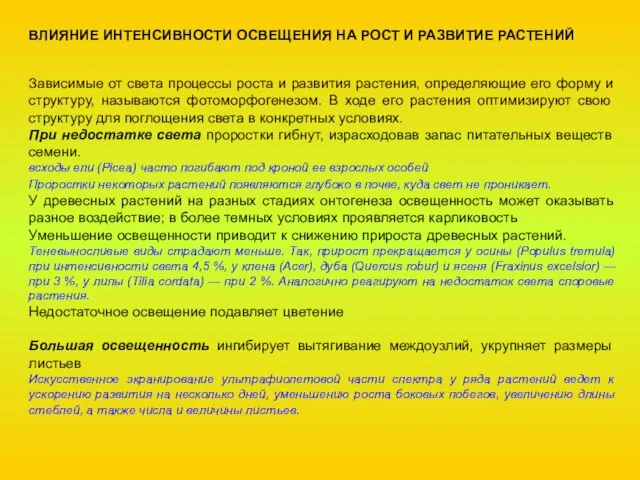 ВЛИЯНИЕ ИНТЕНСИВНОСТИ ОСВЕЩЕНИЯ НА РОСТ И РАЗВИТИЕ РАСТЕНИЙ Зависимые от света процессы