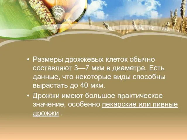 Размеры дрожжевых клеток обычно составляют 3—7 мкм в диаметре. Есть данные, что