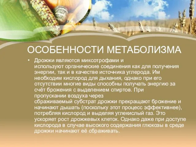 ОСОБЕННОСТИ МЕТАБОЛИЗМА Дрожжи являются миксотрофами и используют органические соединения как для получения