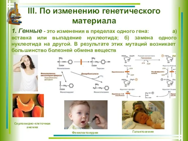 III. По изменению генетического материала 1. Генные - это изменения в пределах