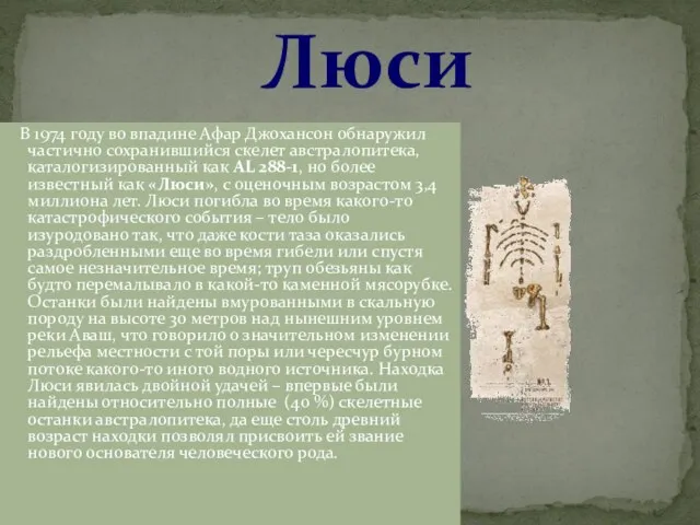 Люси В 1974 году во впадине Афар Джохансон обнаружил частично сохранившийся скелет