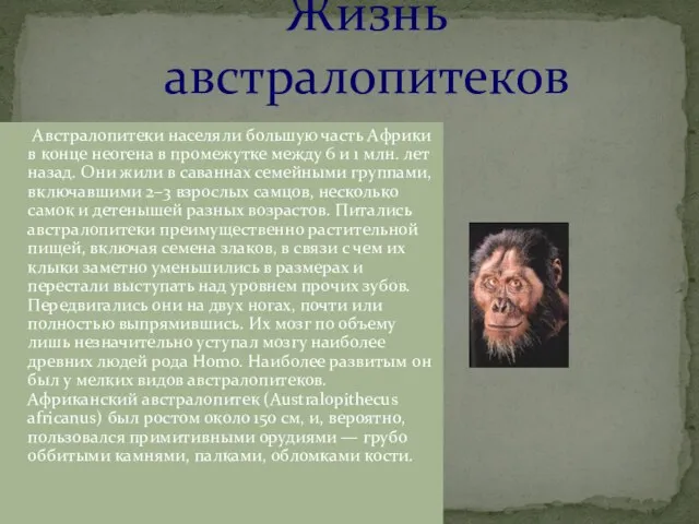 Жизнь австралопитеков Австралопитеки населяли большую часть Африки в конце неогена в промежутке