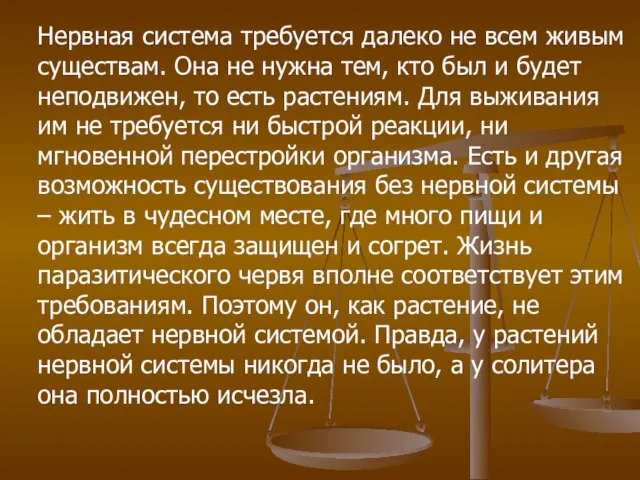 Нервная система требуется далеко не всем живым существам. Она не нужна тем,