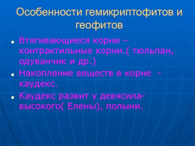 Особенности гемикриптофитов и геофитов Втягивающиеся корни – контрактильные корни.( тюльпан, одуванчик и