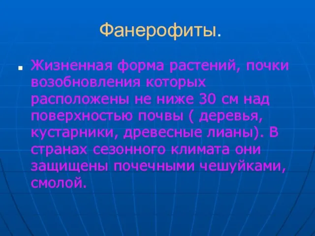 Фанерофиты. Жизненная форма растений, почки возобновления которых расположены не ниже 30 см