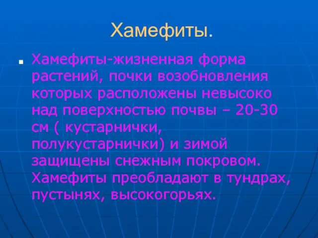 Хамефиты. Хамефиты-жизненная форма растений, почки возобновления которых расположены невысоко над поверхностью почвы