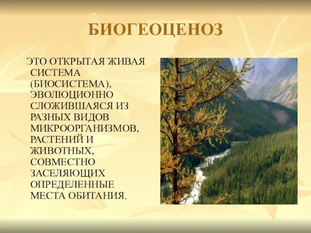 БИОГЕОЦЕНОЗ ЭТО ОТКРЫТАЯ ЖИВАЯ СИСТЕМА (БИОСИСТЕМА), ЭВОЛЮЦИОННО СЛОЖИВШАЯСЯ ИЗ РАЗНЫХ ВИДОВ МИКРООРГАНИЗМОВ,