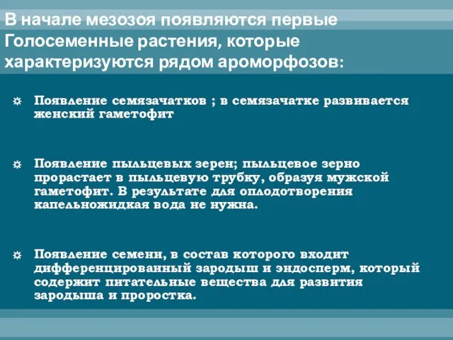 В начале мезозоя появляются первые Голосеменные растения, которые характеризуются рядом ароморфозов: Появление