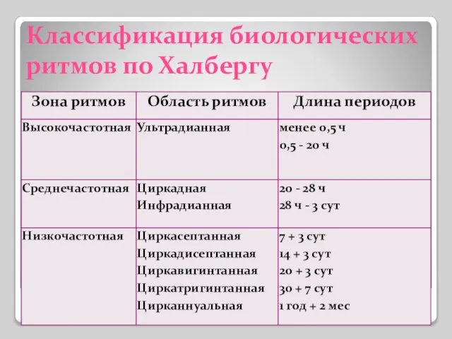 Классификация биологических ритмов по Халбергу