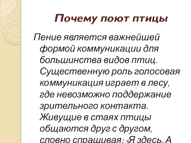 Почему поют птицы Пение является важнейшей формой коммуникации для большинства видов птиц.